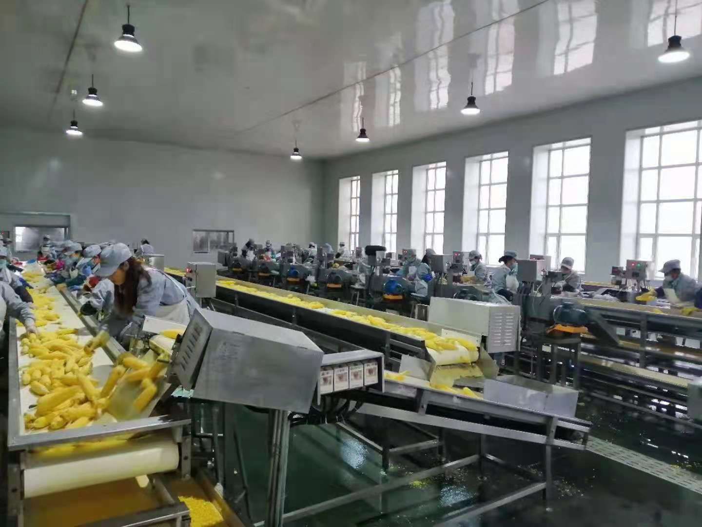 1626678489572561.jpg 1.jpg