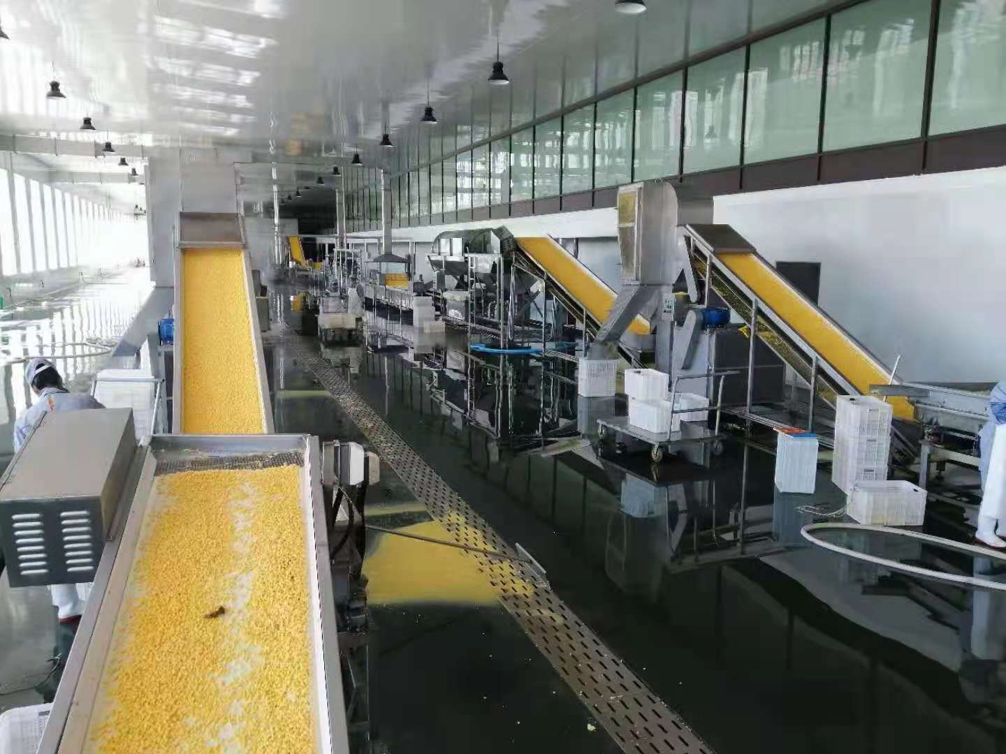 1626678494107637.jpg 2.jpg